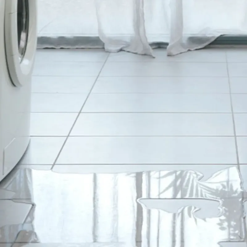 Appliance Leak Cleanup in Iosco County, MI